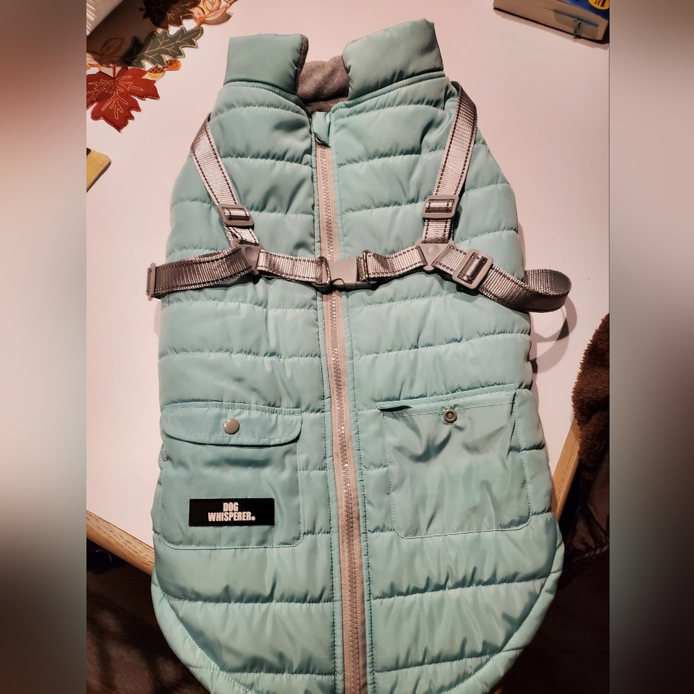 Mint Green Puffer Vest for Dogs